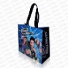 Wholesale PP non woven laminated bag