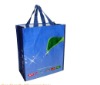 Wholesale 2011 lastest promotional PP woven bag