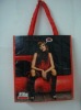 Wholesale pp woven promotional bag