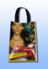 Wholesale PP Woven Shopping Bag