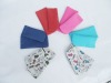 glass pouch