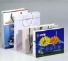 Wholesale Best sale shopping paper bag (printed paper bag)