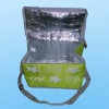 Wholesale Non Woven Insulated Bag