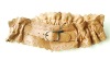 2010 Most Popular Elastic Pu Belt for Women
