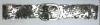 Wholesale Fashion PVC belt,waist belt,waistband,strap BDT09098