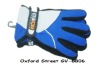 Motorcycle gloves