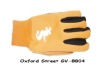 Motorcycle gloves