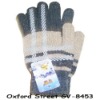 Fashion Acrylic glove