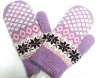 Wholesale Fashion Winter Glove