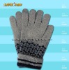 Wholesale 2010 the lastest design winter glove
