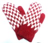 Wholesale Fashion Winter Glove