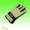 Wholesale 2011 New arrival Women polar fleece Gloves