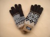 woolen glove