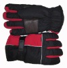 Wholesale 2011ski glove /sport glove/glove