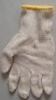 Wholesale cotton gloves/eldiven
