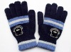 Wholesale Fashion Jacquard magic glove