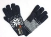 Wholesale High Quality Acrylic Winter Gloves