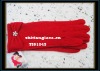 Wholesale 2010 fashion women's wool glove/ lady's fleece glove/pashm glove