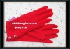 Wholesale 2010 fashion women's wool glove/ lady's fleece glove/pashm glove