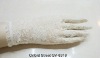Wholesale 2011 latest fashion glove