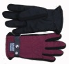 Wholesale Women's ski gloves with new design