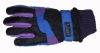 Wholesale 2011 The best sellers ski gloves