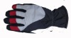 The 2011 new waterproof ski gloves