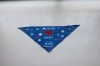 Wholesale 2010 popular pet bandanas