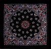 Fashion Bandana