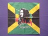 Wholesale bandana