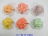 Fahsion hair clip heat setting style