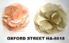 fashion hair barrette, hair accessory