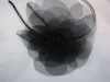 fashion hair accessory