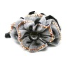 Wholesale fashion barrette&hair clip&hair accessory&hair ornament