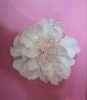 Wholesale fashion elastic hair band