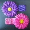 Wholesale hair accessory / hair elastic