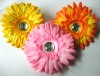 Wholesale New daisy flower