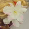 Wholesale flower hair claws