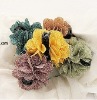 Wholesale 2011 Fashion Hair Claw