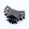 Wholesale 2011 Fashion Jewelry Acrylic Hair Clips/Claws <H013>