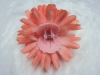 Wholesale hair claws