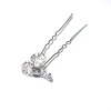 Wholesale 2011 fashion hair pins