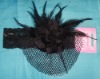 Wholesale Tenia