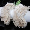 Wholesale Supply 2010 Hot Sale Fashion hair accessory Hair ribbon Headband