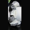Supply 2010 Hot Sale Fashion hair accessory Hair ribbon Headband
