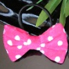 Wholesale Supply 2010 Hot Sale Fashion hair accessory Hairclip Headband