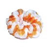 Wholesale Hair Accessory