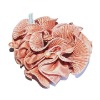 Wholesale beautiful hair flower
