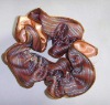 Wholesale Hair flower