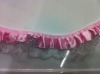 Wholesale beautiful lace stain ribbon
